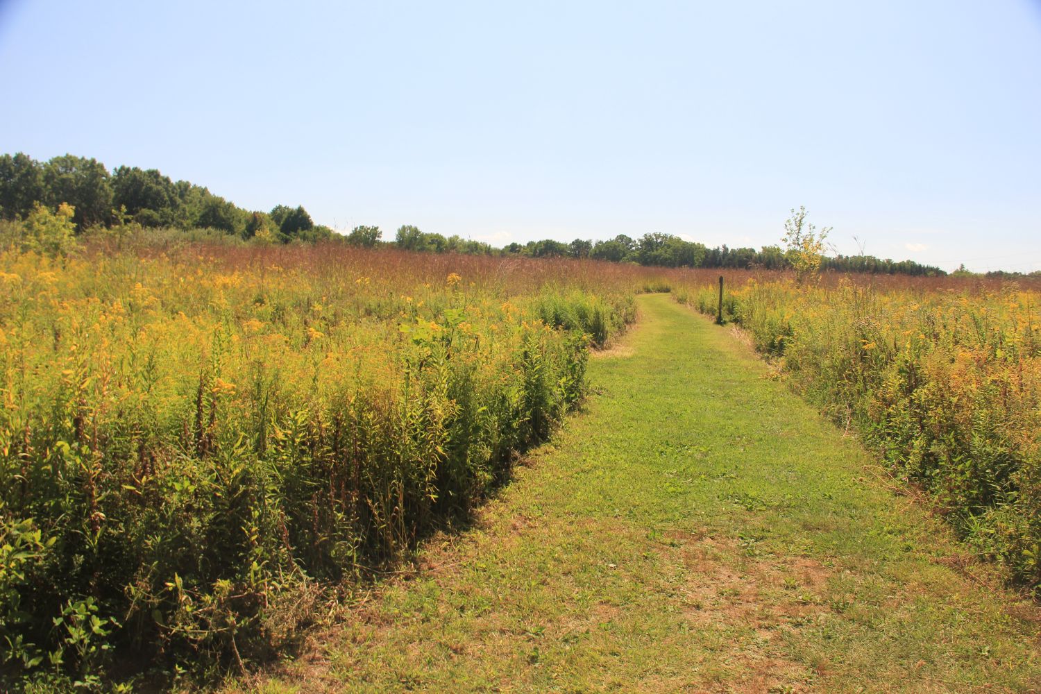 Calumet River Trail Hike 